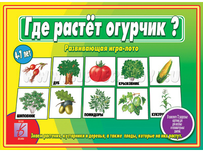 Развивающая игра "Где растет огурчик?" Развивающая игра "Где растет огурчик?"