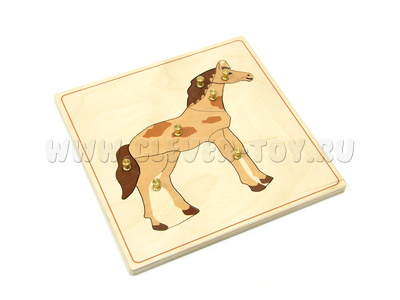 Строение лошади (дер.пазлы с контуром) Строение лошади (дер.пазлы с контуром)