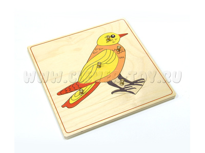 Строение птицы (дер.пазлы с контуром) Строение птицы (дер.пазлы с контуром)