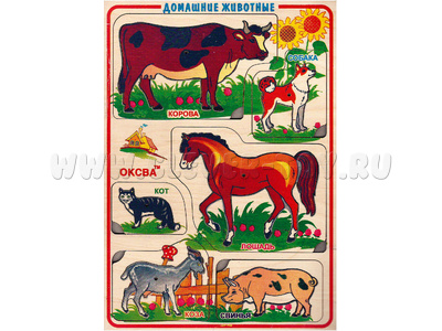 Рамки-вкладыши художественные "Домашние животные" Рамки-вкладыши художественные "Домашние животные"