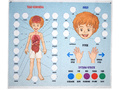 Панно "Тело человека" (88 элементов)