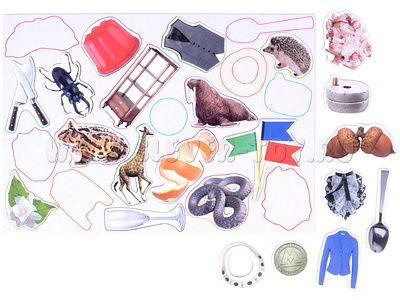 Магнитное развивающее пособие "Упрямые звуки" Звук "Ж"