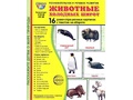 Демонстрационные картинки СУПЕР в папке. Животные холодных широт (16 шт.)