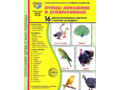 Демонстрационные картинки СУПЕР в папке. Птицы домашние и декоративные (16 шт.)